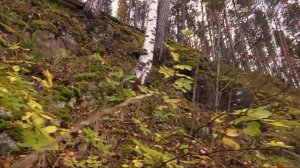 Рыбалка на Спининнг.  Река Исеть