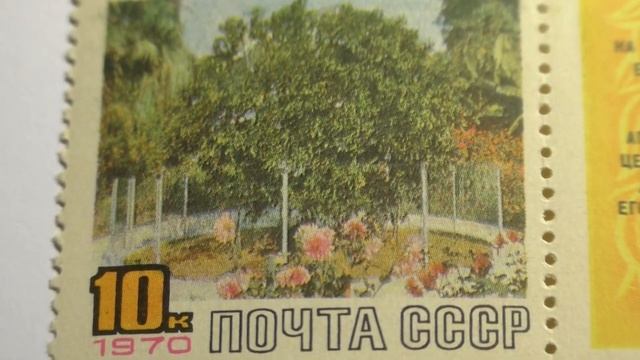 Двойная почтовая марка. Почта СССР. 1970 г. Дерево дружбы. Сочи смотреть онлайн