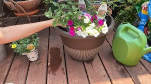 Covering My Garden Cart With Flowers | Container Garden Ideas