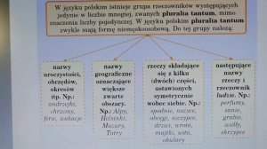 Singularia tantum i pluralia tantum w języku polskim