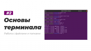 2. Основы терминала Linux. Команды для работы с файлами и папками