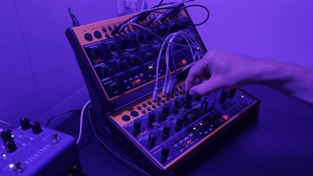 Behringer Crave - TwinMachine - Sunday Morning Jam смотреть онлайн