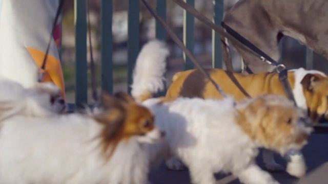 Taylor Hill Cavorts Around the City of Love for Valentines Day смотреть онлайн