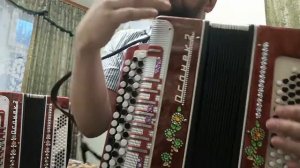 Баян Огонёк настроенный в розлив.