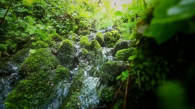 "Благодеяние к родителям" Дигорский язык смотреть онлайн