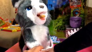 Собака FurReal Ricky играем вместе!!!