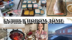 VLOG: организация ХРАНЕНИЯ КРУП/Постоянно ЖДУ/наша ТЕРРИТОРИЯ/готовлю на НОВОЙ КУХНЕ