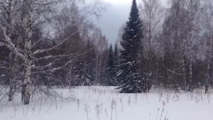 Красоты Сибири!часть 3