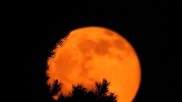 Клубничное Полнолуние в Стрельце ! И вот как получить от него все самое ценное...