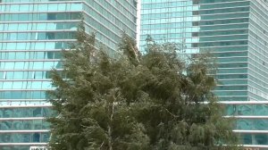 Причины ПЕРЕНОСА СТОЛИЦЫ в Казахстане из Алма-Аты в Астану в 1997 / зачем Назарбаев сменил столицу