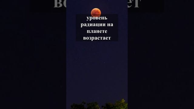 Топ 5 фактов о Марсе #Марс #космос #спутники #space #илонмаск #наука #позновательное #интересно смотреть онлайн