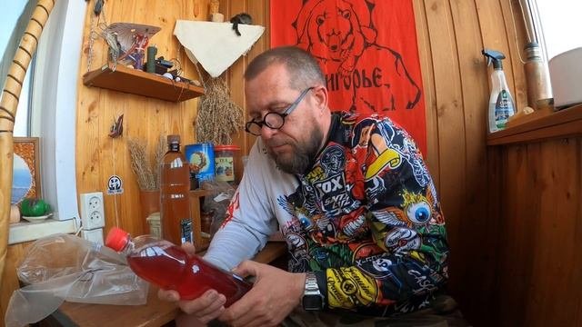 Комбуча