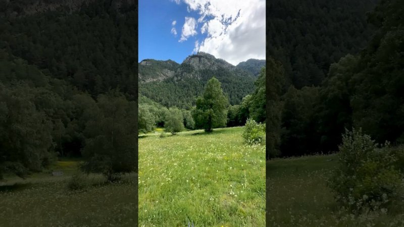 A secret Glade among the Mountains