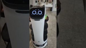 Робаты работают как человек очень мило!