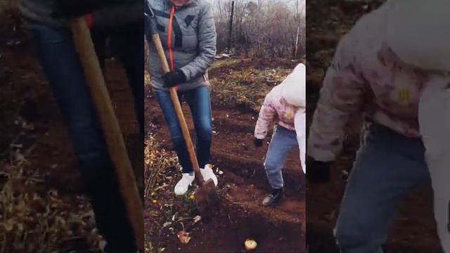 А как вы заканчивайте дачный сезон?? смотреть онлайн