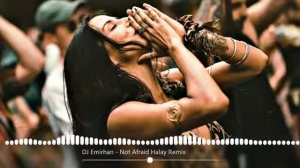 DJ Emirhan  Suleyman Tekin  Not Afraid Halay