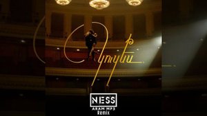 Aram Mp3 Kuzes-Ness (remix)