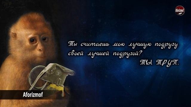 Смешные цитаты про подруг - Приколы, Анекдоты и Юмор