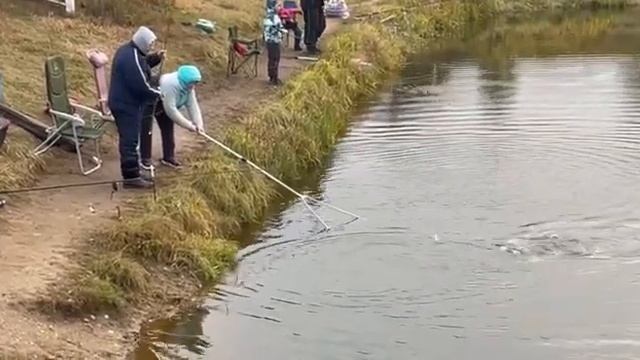 4 ноября 2023 г. смотреть онлайн