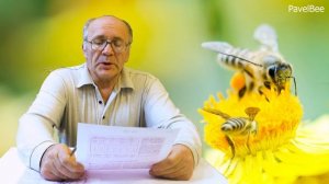 № 114 Как Сделать Качественную Матку из Яйца? | Вывод маток на Взяток | Пчеловодство | Пасека