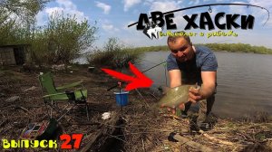 ВОТ ЭТА ГУСТЕРА! ЯЗЬ! ФИДЕР И ЗАКИДУШКИ НА РЕКЕ.