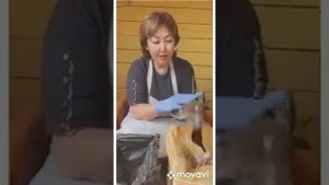 Как быстро ощипать утку