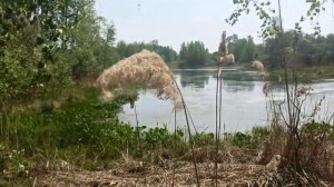 Природный парк Пышминские озерки