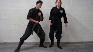 not NINJUTSU (roundhouse kick)