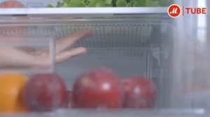 Видеообзор холодильника LG GA-M589ZMQZ (M589ZEQZ) с экспертом «М.Видео»