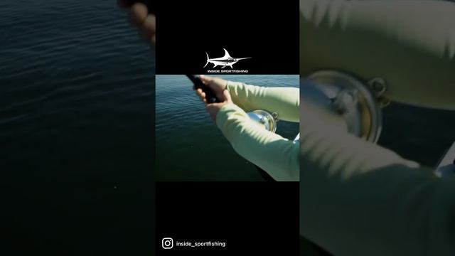 Blackfin Tuna Hook Up! 🎣 #blackfintuna #tunafishing #tuna #fishingdaily #fishingtime смотреть онлайн