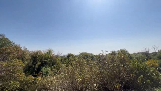 Ботанический сад Ташкент. Самое зеленое место в Ташкенте #узбекистан #ташкент #ботаническийсад