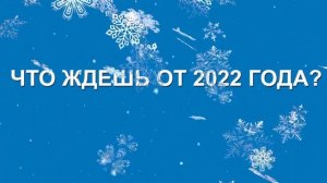 В Новый год мы мечтаем