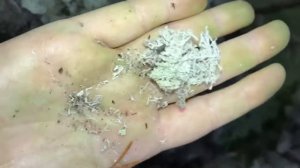 Зачем стабилизируют мох, природный цвет и свойства ягеля живого и стабилизированного.