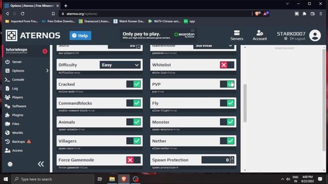 Minecraft Java And Bedrock Crossplay Server - GeyserMC Tutorial (Hindi)