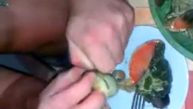 Поедание рапанов