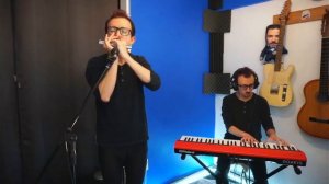 Easttop tremomo harmonica T2406S