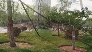 УХОД ЗА ПРИСТВОЛЬНЫМИ КРУГАМИ ПЛОДОВЫХ ДЕРЕВЬЕВ