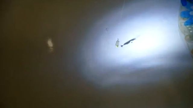 Самодельная блесна, игра. смотреть онлайн