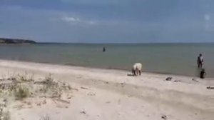 переезд на юг без денег Открываем Сезон