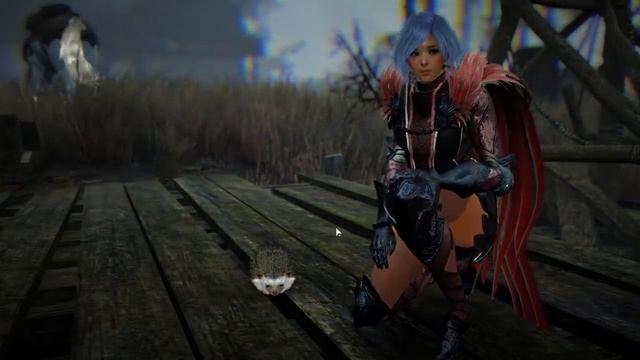 ?Ежик-собиратель: результаты тестов. Обзор питомца в Black Desert (MMORPG - ИГРЫ)