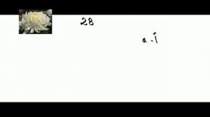 1 буква   алиф   арабского алфавита