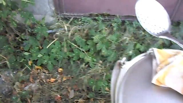 Шурпа смотреть онлайн