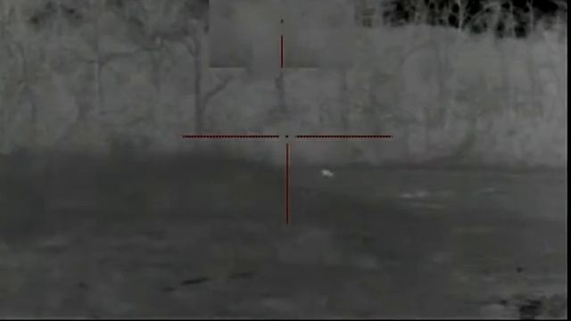 Pulsar XD38A coyote смотреть онлайн