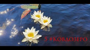 5 #Ковдозеро  Летний поход 2022г