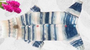 Комбинезон для маленькой собачки.