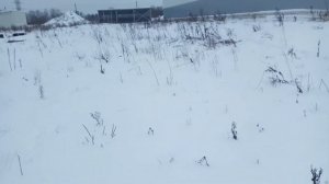 Ловушки на куропаток