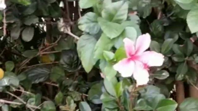 Так на чем мы остановились?🙂💃Израиль смотреть онлайн