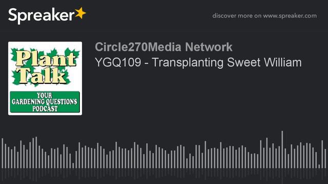 YGQ109 - Transplanting Sweet William смотреть онлайн