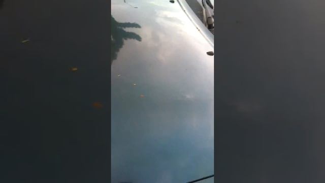 FORD ESCORT смотреть онлайн