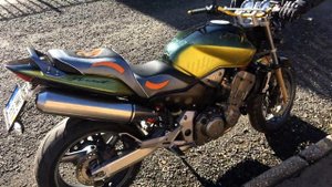 Honda CB900 F Hornet - "Horni"